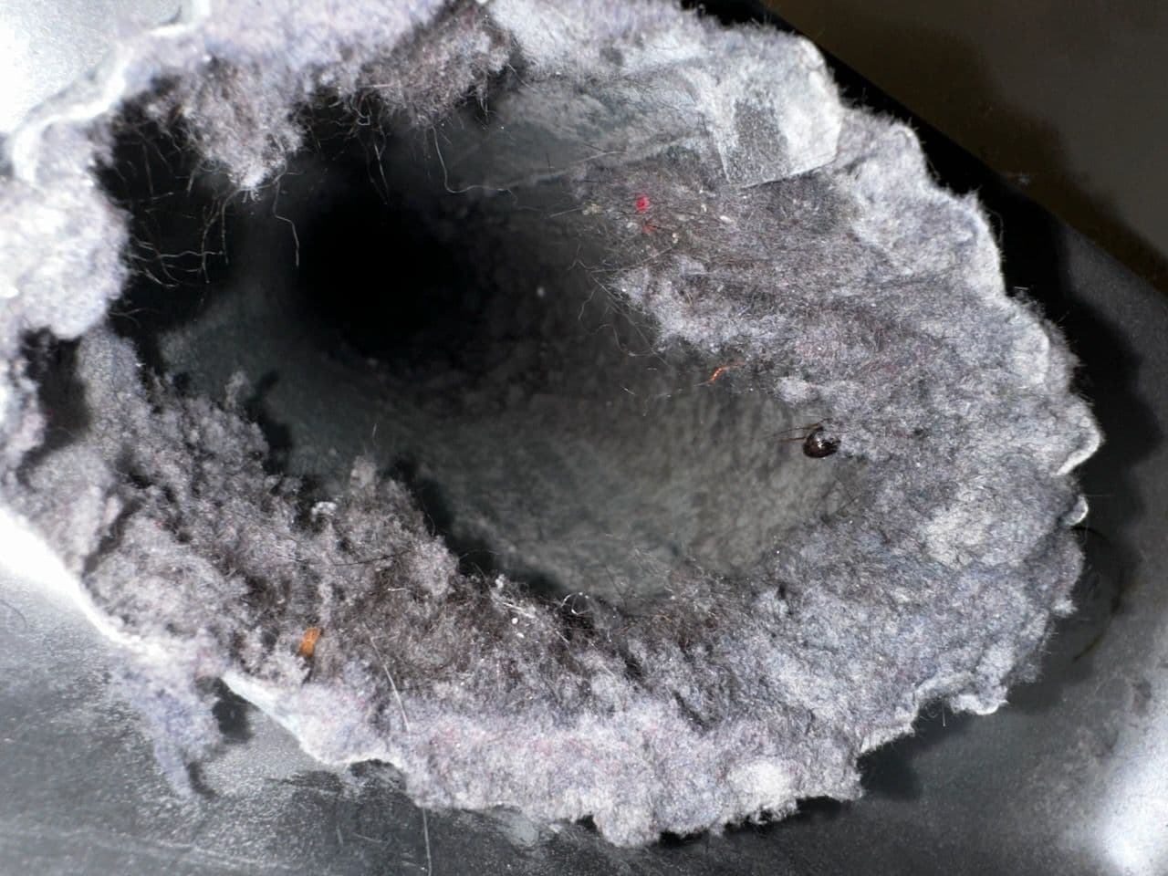 Close-up of a clogged dryer vent showing buildup of lint and debris.